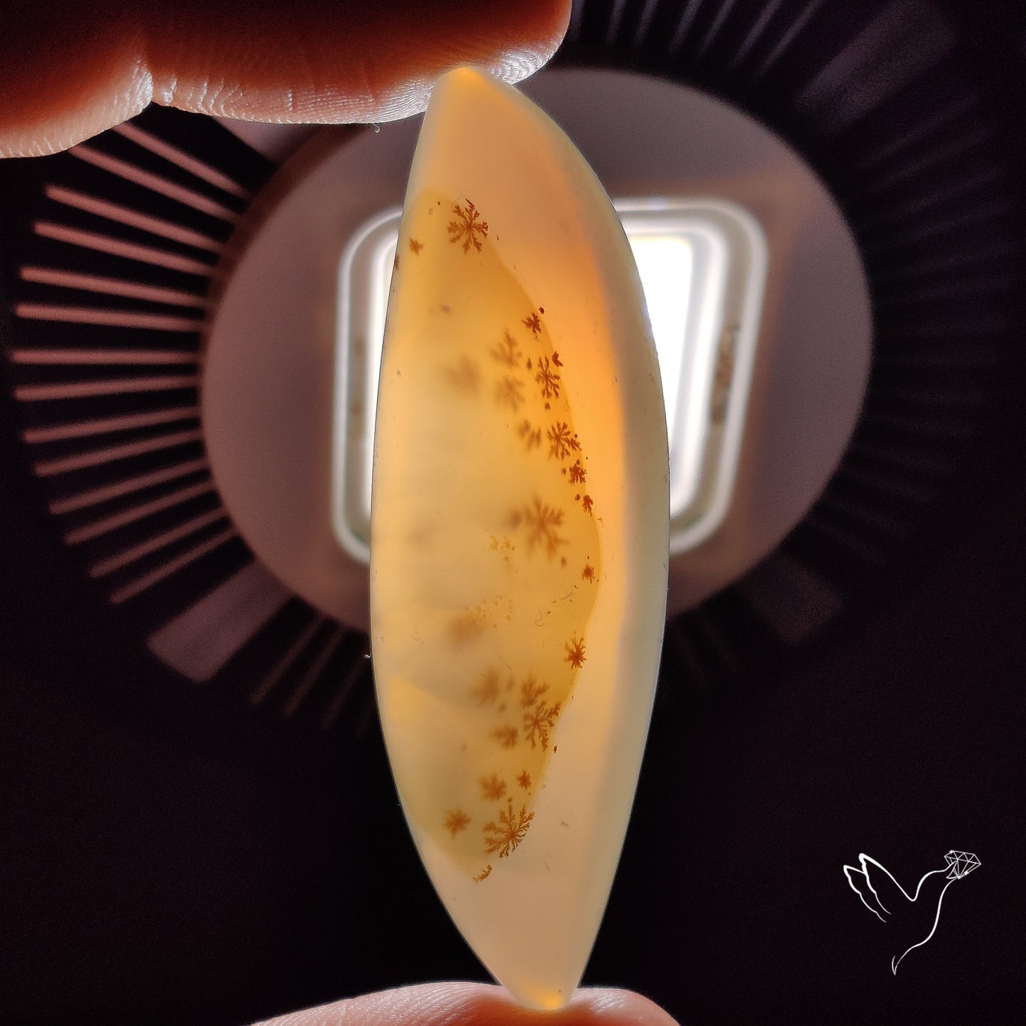 Scenic Agate Cabochon