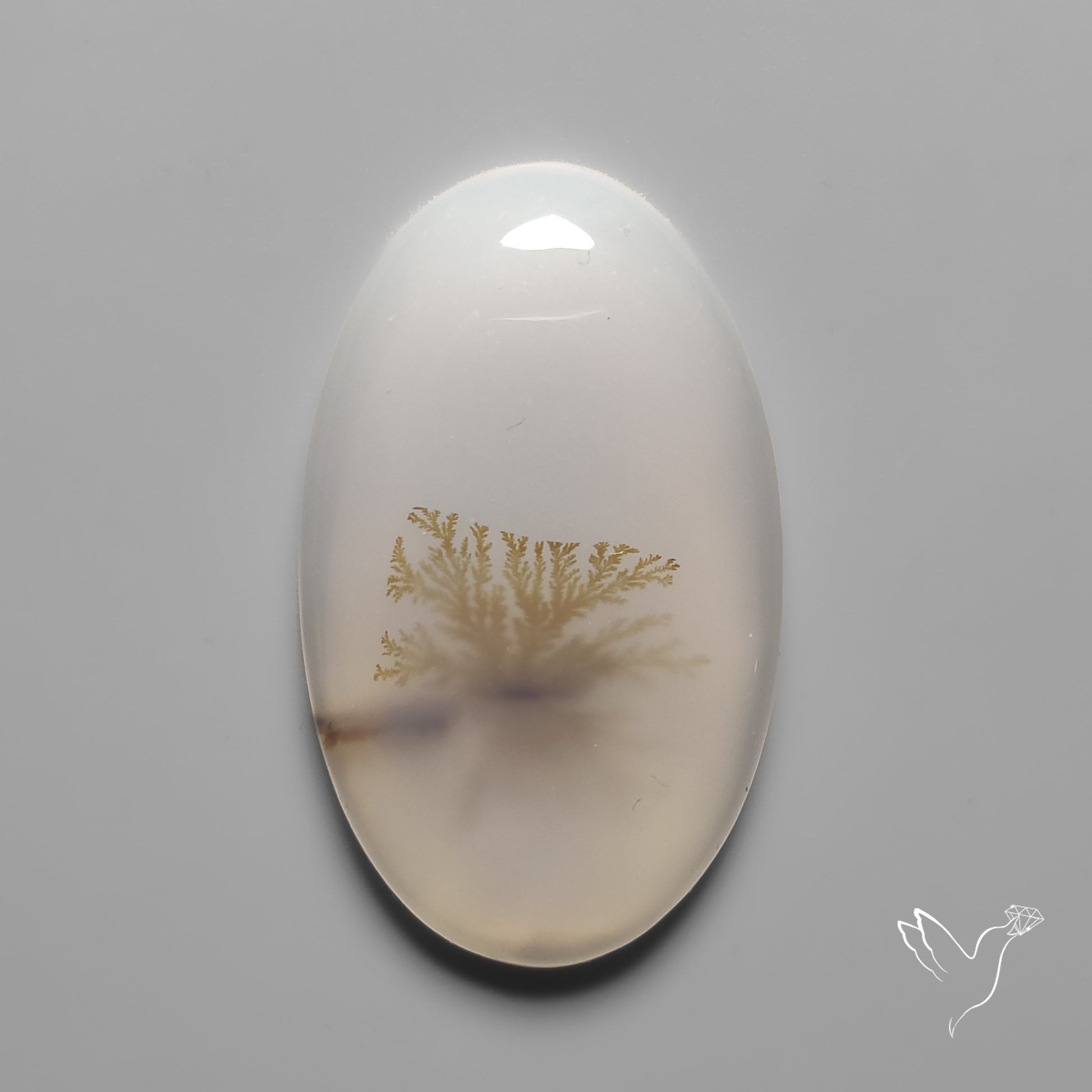 Scenic Agate Cabochon