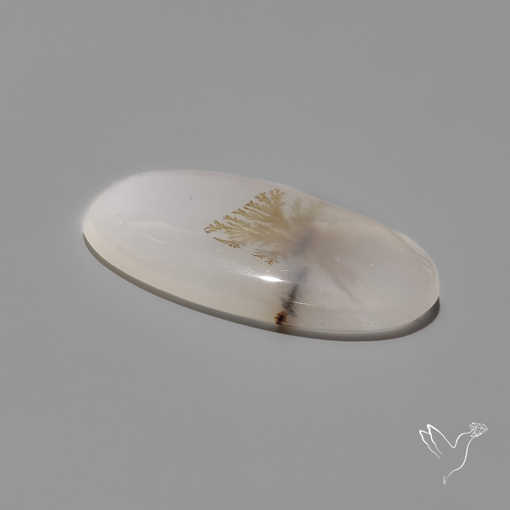 Scenic Agate Cabochon