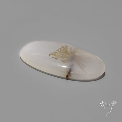 Scenic Agate Cabochon