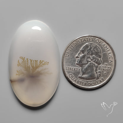 Scenic Agate Cabochon