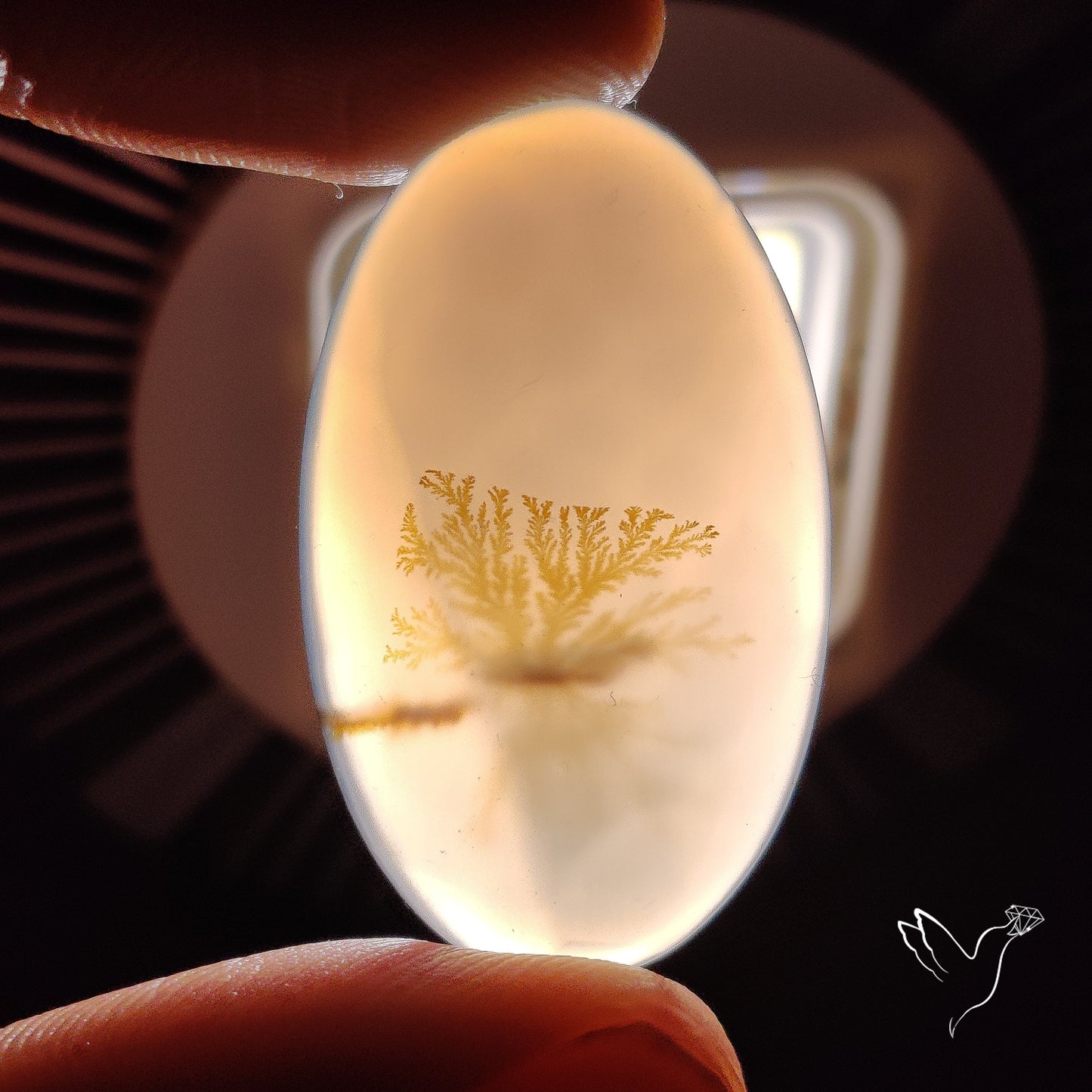 Scenic Agate Cabochon