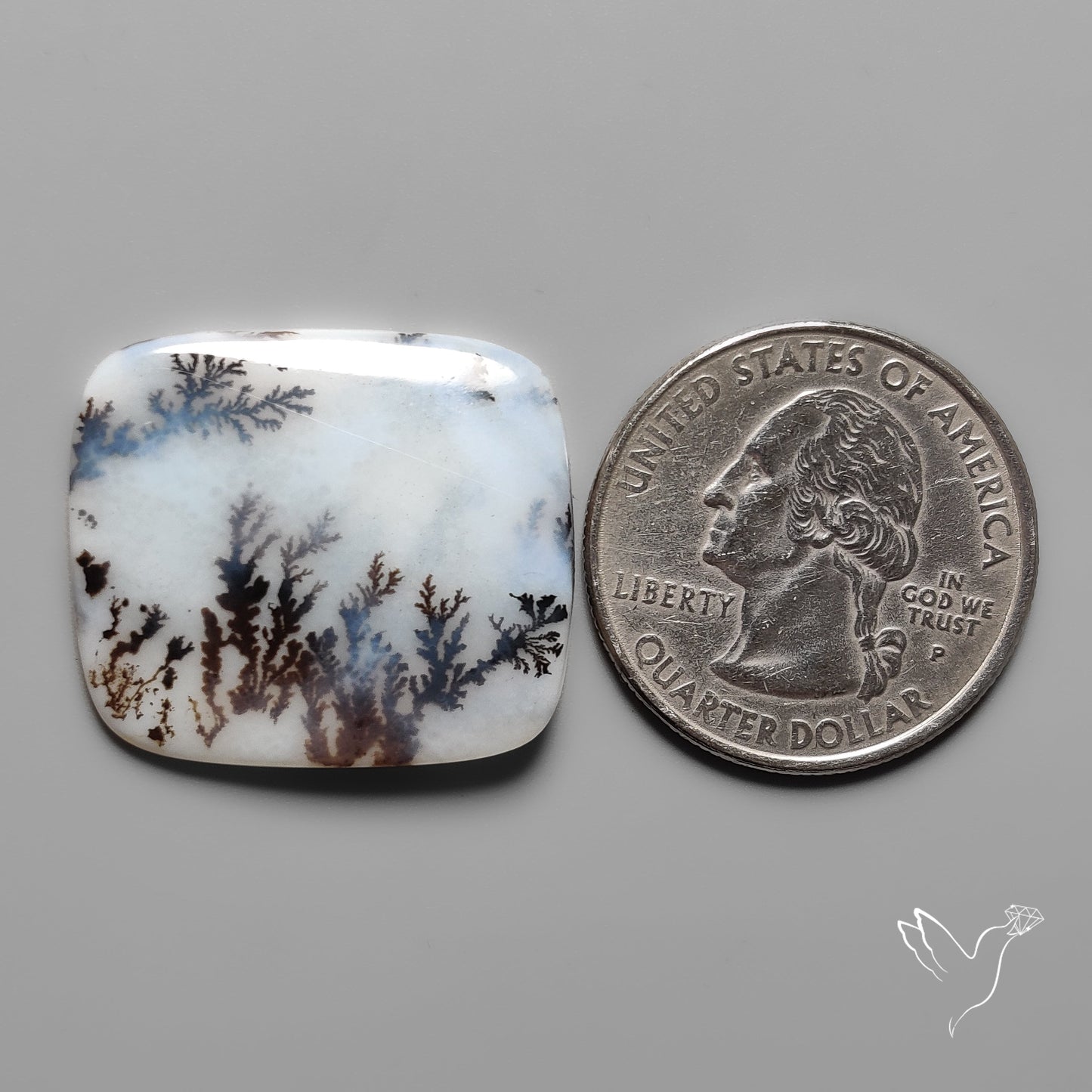 Scenic Agate Cabochon