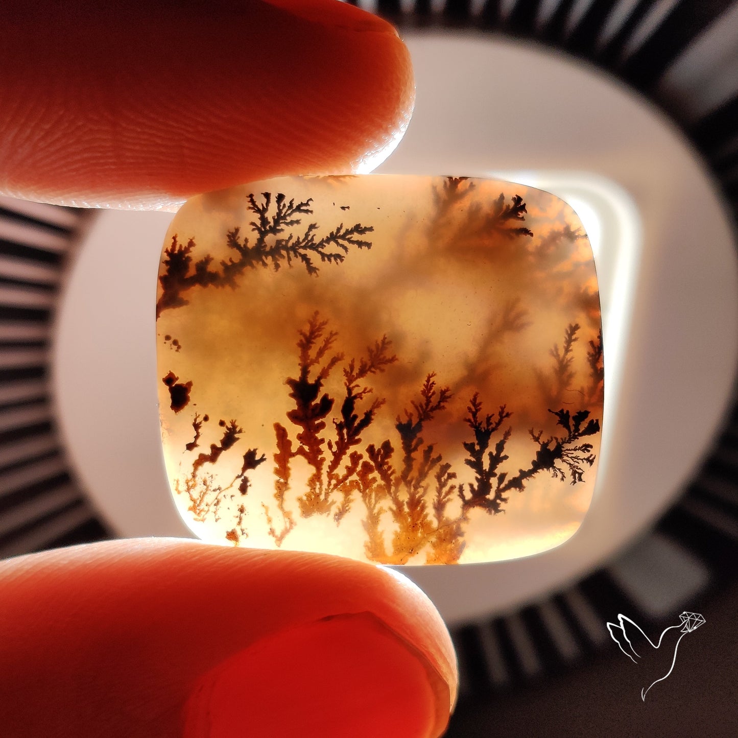 Scenic Agate Cabochon