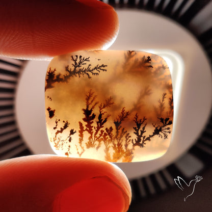 Scenic Agate Cabochon