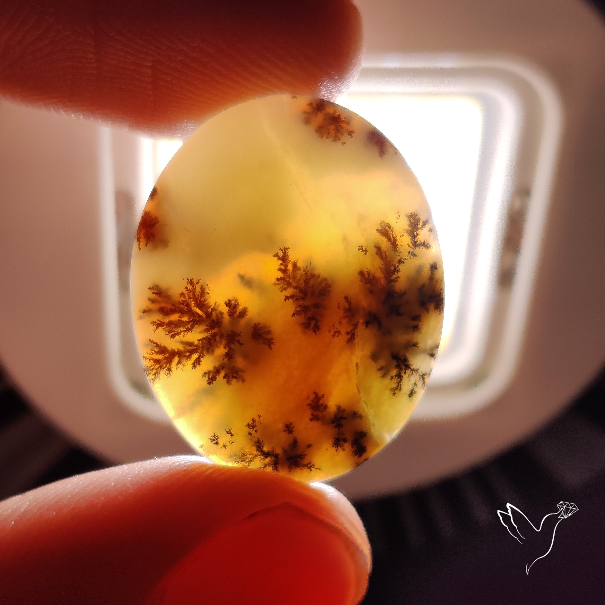 Dendritic Agate Cabochon