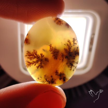 Dendritic Agate Cabochon