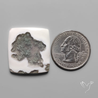 Moss Agate Solar Quartz Cabochon