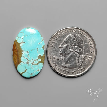 Number 8 Mines Turquoise Cabochon