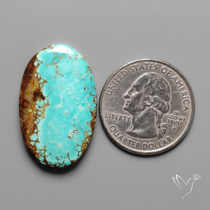 Number 8 Mines Turquoise Cabochon