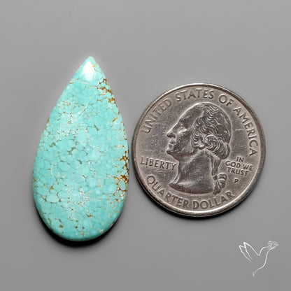 Number 8 Mines Turquoise Cabochon