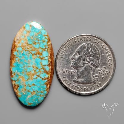 Number 8 Mines Turquoise Cabochon