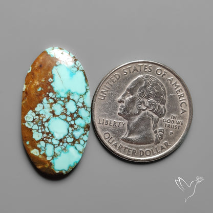 Number 8 Mines Turquoise Cabochon