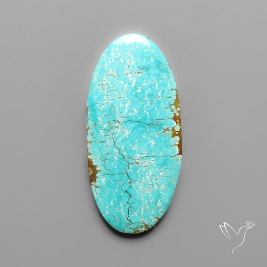 Number 8 Mines Turquoise Cabochon