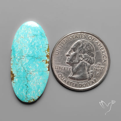 Number 8 Mines Turquoise Cabochon