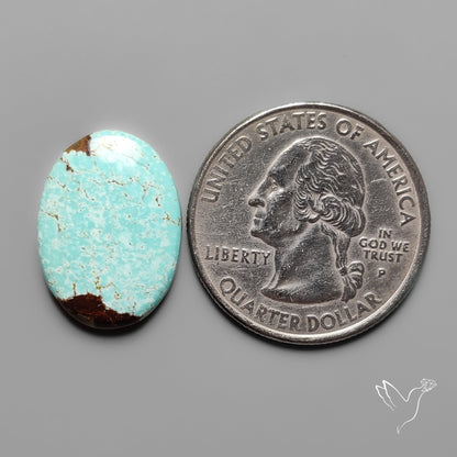 Number 8 Mines Turquoise Cabochon