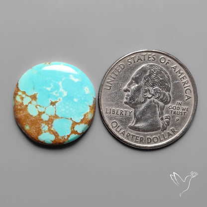 Number 8 Mines Turquoise Cabochon