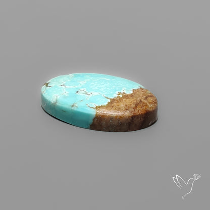 Number 8 Mines Turquoise Cabochon