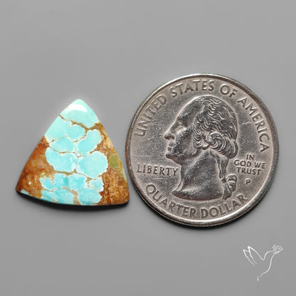 Number 8 Mines Turquoise Cabochon