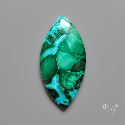 Chrysocolla In Malachite with Chattoyancy Cabochon