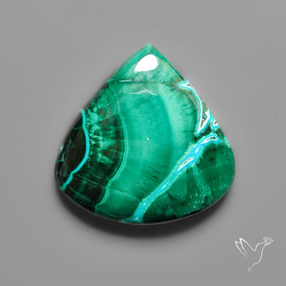Chrysocolla In Malachite with Chattoyancy Cabochon