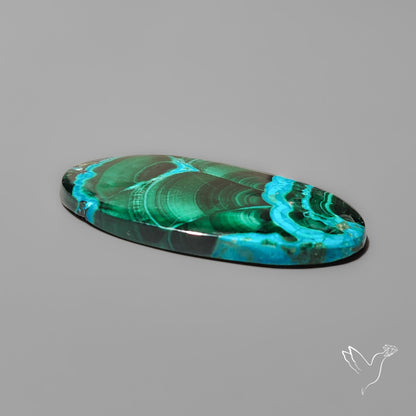 Chrysocolla In Malachite with Chattoyancy Cabochon