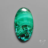 Chrysocolla In Malachite with Chattoyancy Cabochon