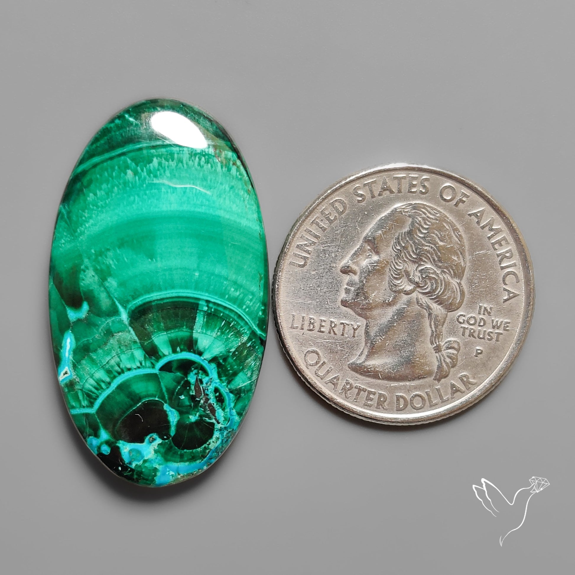 Chrysocolla In Malachite with Chattoyancy Cabochon