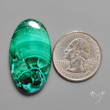 Chrysocolla In Malachite with Chattoyancy Cabochon