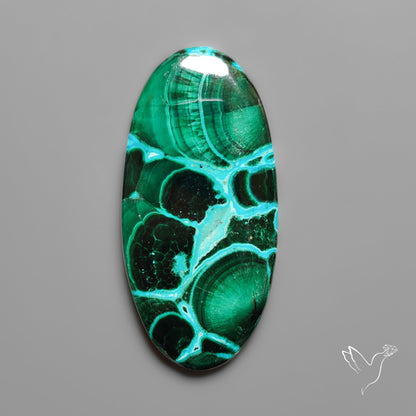 Chrysocolla In Malachite with Chattoyancy Cabochon