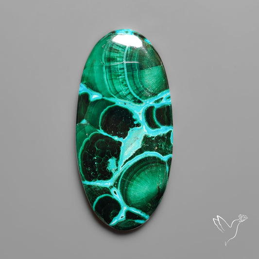 Chrysocolla In Malachite with Chattoyancy Cabochon