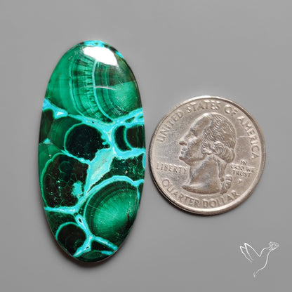 Chrysocolla In Malachite with Chattoyancy Cabochon