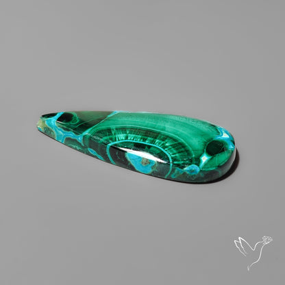 Chrysocolla In Malachite with Chattoyancy Cabochon
