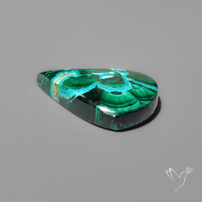 Chrysocolla In Malachite with Chattoyancy Cabochon