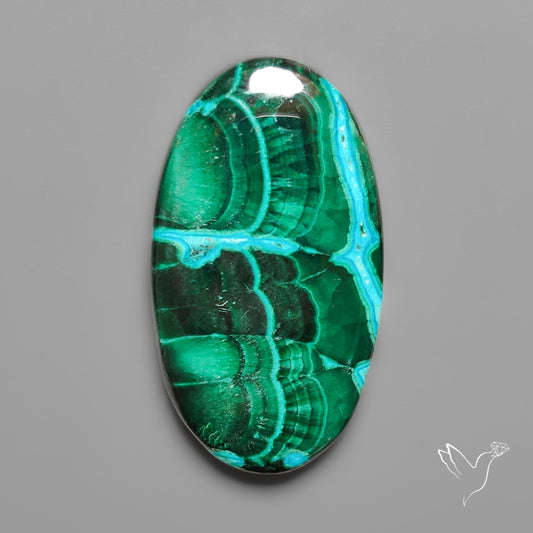 Chrysocolla In Malachite with Chattoyancy Cabochon