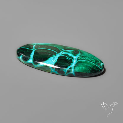 Chrysocolla In Malachite with Chattoyancy Cabochon