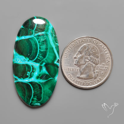 Chrysocolla In Malachite with Chattoyancy Cabochon
