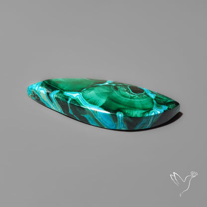 Chrysocolla In Malachite with Chattoyancy Cabochon
