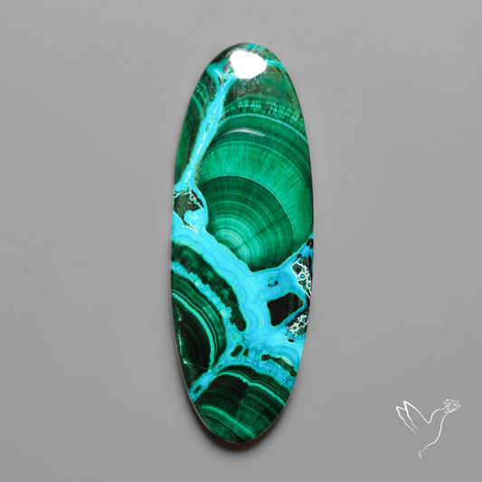 Chrysocolla In Malachite with Chattoyancy Cabochon