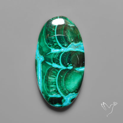 Chrysocolla In Malachite with Chattoyancy Cabochon