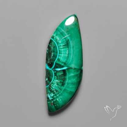 Chrysocolla In Malachite with Chattoyancy Cabochon