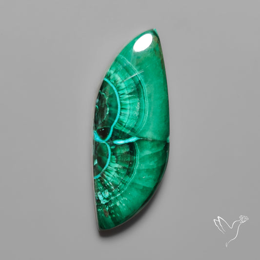 Chrysocolla In Malachite with Chattoyancy Cabochon