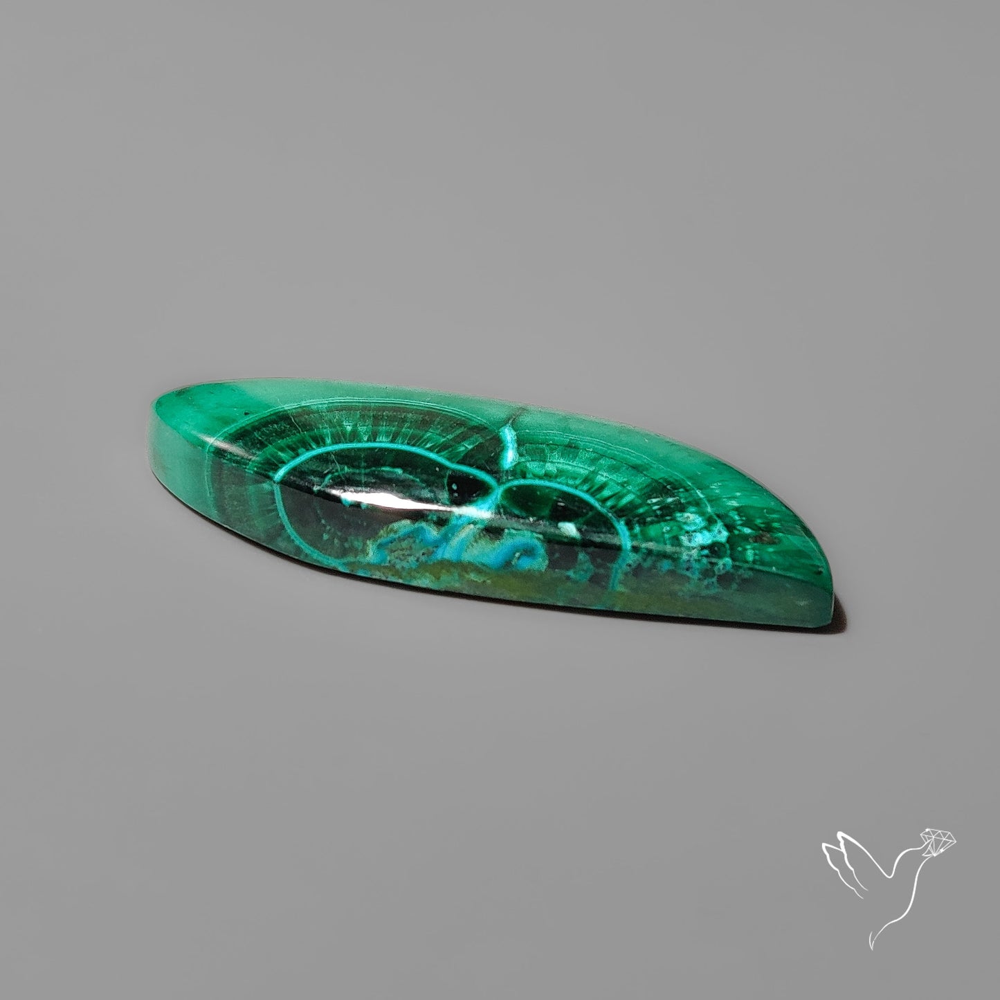 Chrysocolla In Malachite with Chattoyancy Cabochon