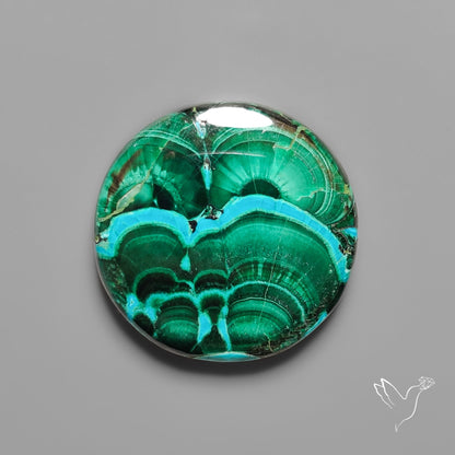 Chrysocolla In Malachite with Chattoyancy Cabochon