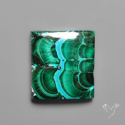 Chrysocolla In Malachite with Chattoyancy Cabochon