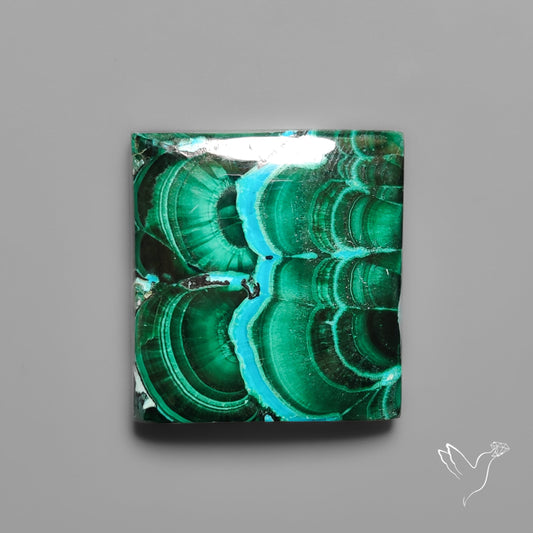 Chrysocolla In Malachite with Chattoyancy Cabochon