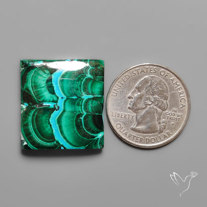 Chrysocolla In Malachite with Chattoyancy Cabochon