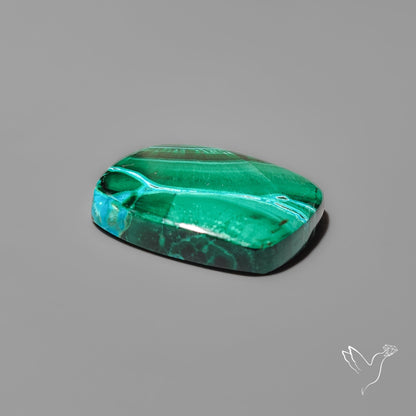 Chrysocolla In Malachite with Chattoyancy Cabochon