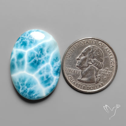 Larimar Cabochon