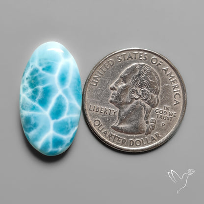 Larimar Cabochon